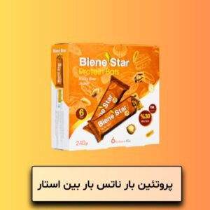 پروتئین بار ناتس بار بین استار